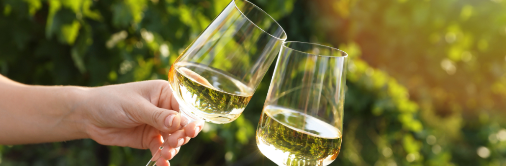 5 x de Beste Pinot Grigio wijnen