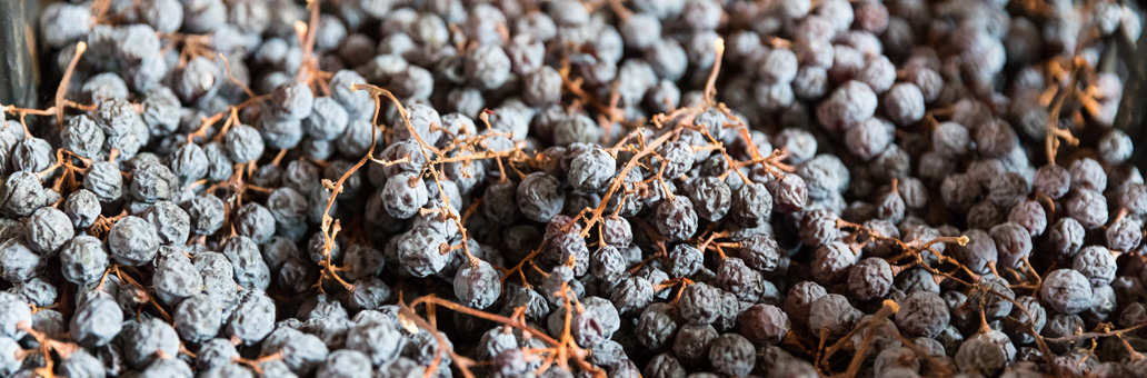 Amarone wijn