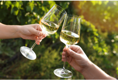 5 x de Beste Pinot Grigio wijnen