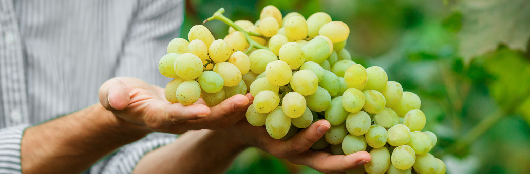 Is Chardonnay een zoete of droge witte wijn?