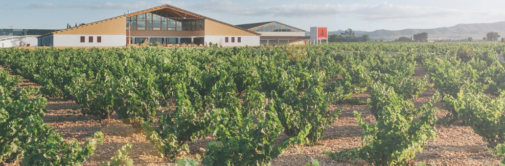 Bodegas Barahonda