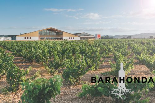 Bodegas Barahonda