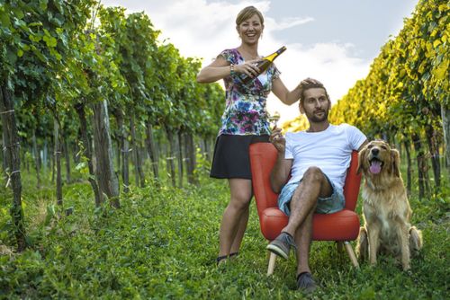 Weingut Diwald: Biologische topwijnen uit Oostenrijk met karakter