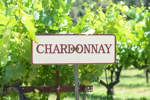 in-the-spotlights-chardonnay