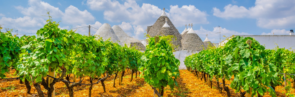 in-the-spotlights-wijnstreek-puglia