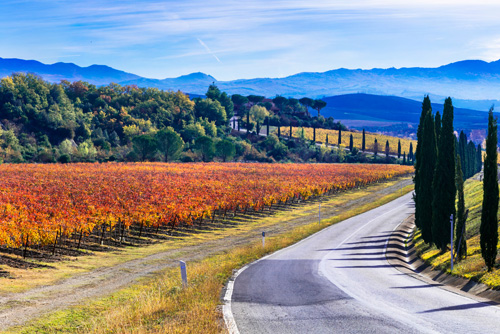 in-the-spotlights-wijnstreek-toscane