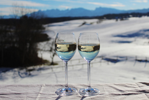 wijntips-welke-wijnen-drink-je-met-deze-koude-temperaturen