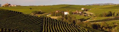 Cantine San Silvestro