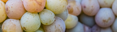 Witte wijnen van Gewürztraminer Witte wijnen van Gewürztraminer