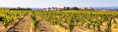 Rode wijnen uit Languedoc-Roussillon
