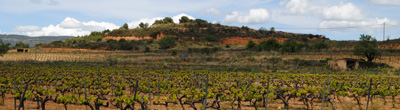 Wijn uit Penedès