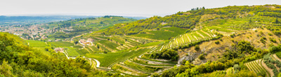 Witte wijnen uit Veneto