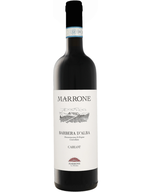 Marrone Barbera d'Alba Carlot