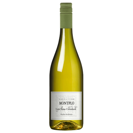 signature-montplo-ugni-blanc-colombard